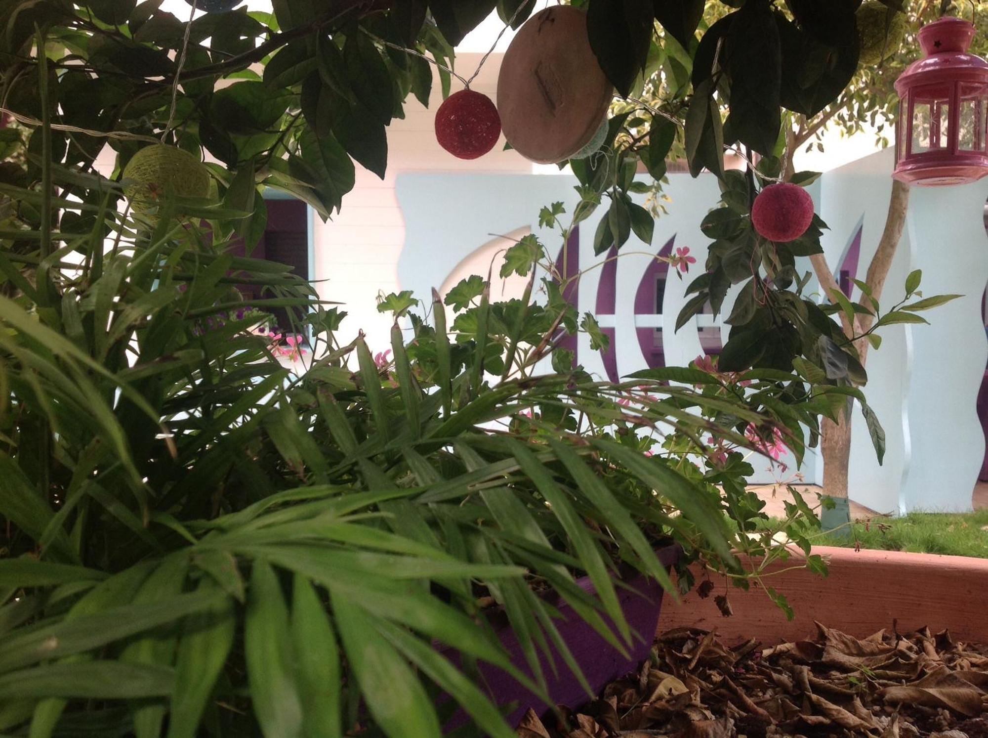 A Casa Di Lolu Bed and Breakfast Grottammare Εξωτερικό φωτογραφία