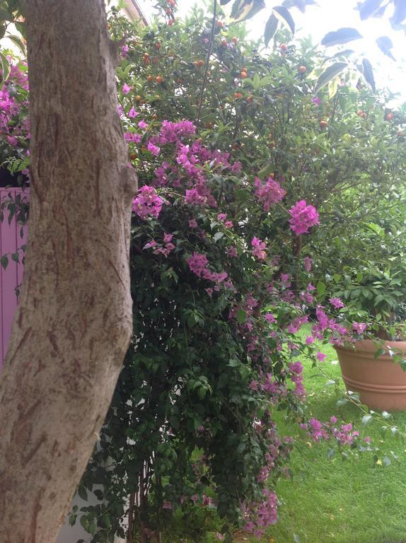 A Casa Di Lolu Bed and Breakfast Grottammare Εξωτερικό φωτογραφία