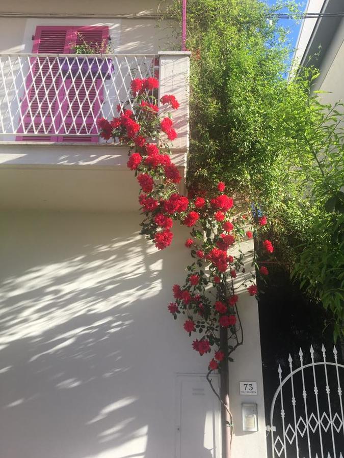 A Casa Di Lolu Bed and Breakfast Grottammare Εξωτερικό φωτογραφία
